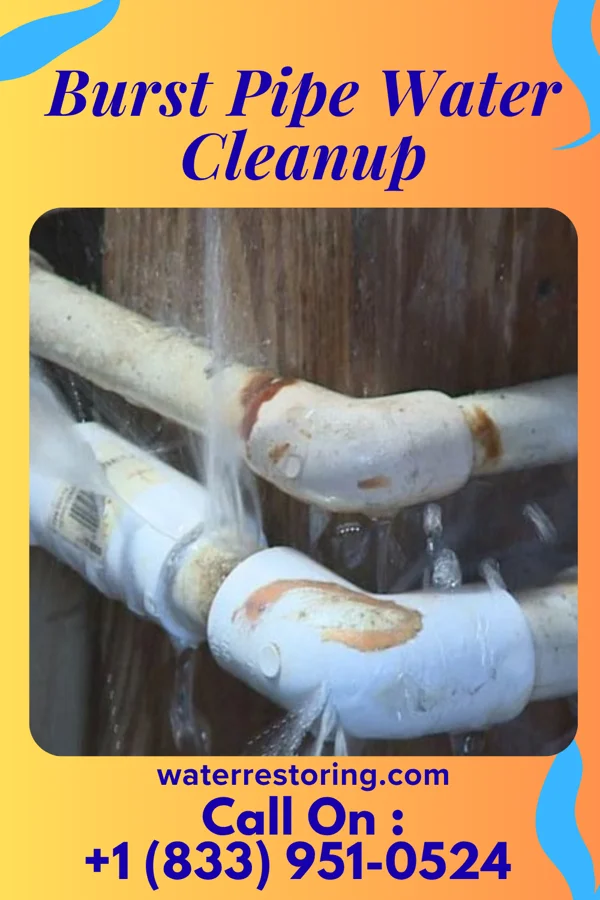 Burst Pipe Water Cleanup in Stevens Creek, VA