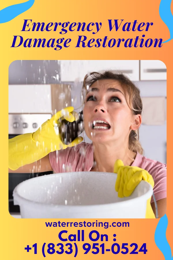 Emergency Water Damage Restoration in Stevens Creek, VA