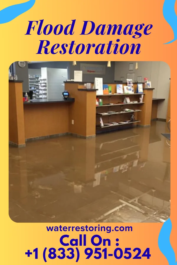 Flood Damage Restoration in Stevens Creek, VA