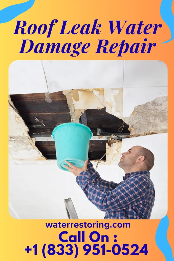 Roof Leak Water Damage Repair in Stevens Creek, VA