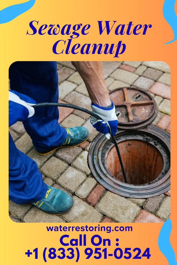Sewage Water Cleanup in Stevens Creek, VA