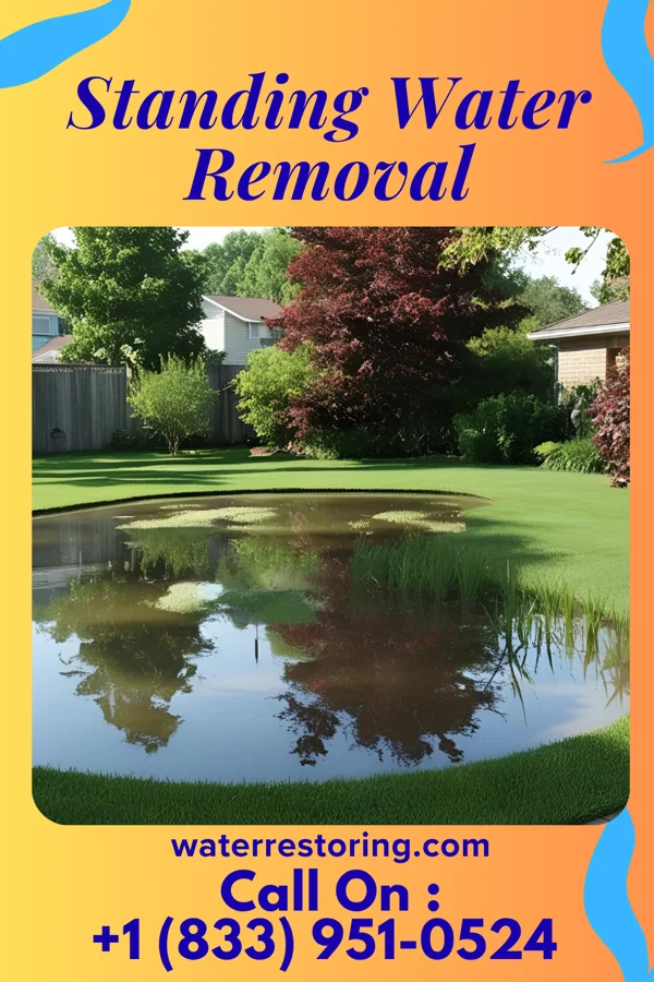 Standing Water Removal in Stevens Creek, VA